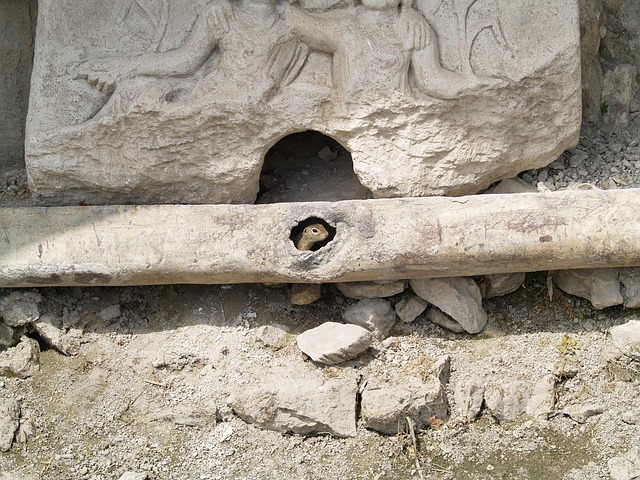 Как адаптироваться к жизни в новой стране: практические советы